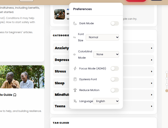 Early settings preferences panel showing basic toggles for dark mode, font size, colorblind mode, focus mode, dyslexia font, reduce motion, and language